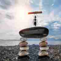 自‌动‍AI助‌手﻿服​务‌