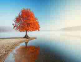 自‍适‍应​设‌置‍是​什​么‌